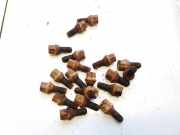 Radbolzen- Radmutter Opel Zafira, A 1999.04 - 2003.11 Gebraucht,