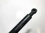 Gasfeder für Motorhaube Alfa-Romeo 156 1997.07 - 2003.11 60654724,