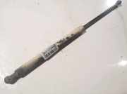 Gasdruckfeder Kofferraum Peugeot 307, 2005.06 - 2008.06 Gebraucht,