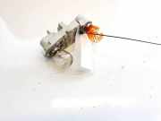 Lampentr?ger Heckleuchte - Hinten Ford Mondeo, 2007.03 - 2013.06 7s7113n004a,7s71-13n004-a