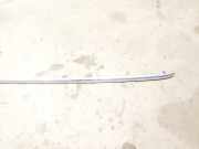 Dachreling Rechts Audi A6, C6 2008.10 - 2011.08 facelift Gebraucht,