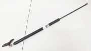 Gasdruckfeder Kofferraum Honda Civic, 2006,01 - 2011.01 Gebraucht,