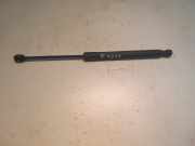 Gasdruckfeder Kofferraum Volkswagen Golf, V 2003.10 - 2008.10 1K6827550F,1K6 827 550 F