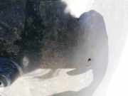 Radhausschale - Vorne Linke Ford Grand C-MAX, 2011.01 - 2019 am51r16115bf,