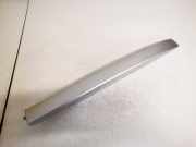 Dachreling - Hinten Rechts Renault Megane, III 2008.11 - 2012.06 738861659r,