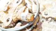 Sensor für ABS - Hinten Rechts Mazda 6, 2002.06 - 2007.08 Gebraucht,