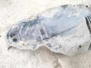 Radhausschale - Vorne Linke Mazda 6, 2002.06 - 2007.08 Gebraucht,