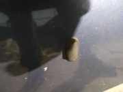 Waschwasserdüse Scheibenreinigung Ford Focus, 2004.11 - 2008.06 Gebraucht,