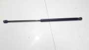 Gasdruckfeder Kofferraum Subaru Justy, III (MHY) 2003.06 - 2007.06 6483QN,