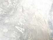 Radhausschale - Vorne Linke Volkswagen Passat, B4 1993.07 - 1996.08 3a0809961a, 1z