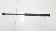 Gasfeder für Motorhaube Hyundai Santa Fe, 2006.03 - 2012.09 Gebraucht ,