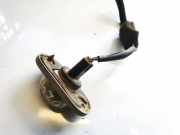 Kennzeichenleuchte Hyundai Trajet, 2000.03 - 2008.07 42500052,92501-222
