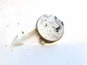 Abdeckung Abschlepphaken - Hinten Peugeot 307, 2000.08 - 2005.06 1854159016,1854159016R 96405331770R