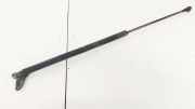 Gasdruckfeder Kofferraum Honda Civic, 2006,01 - 2011.01 74820SMGE020M1,74820-SMG-E020-M1