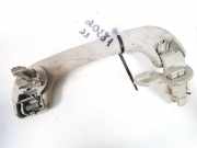 Haltegriff Haltegriff Verdeckgriff - Hinten Linke Renault Vel Satis, 2002.06 - 2009.12 98188,