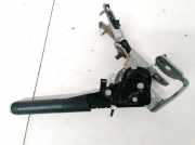 Handbremshebel Citroen C3, I 2002.02 - 2005.06 Gebraucht,