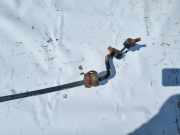 Stabilisator Stabi Hinten Hinterachse Kia Optima 2011 - 2015 Gebraucht,