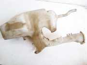 Scheibenwaschbehälter Vorne Wischwasserbehälter Mitsubishi Carisma, I 1995.07 - 2000.09 Gebraucht,