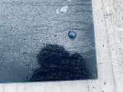 Seitenfenster Seitenscheibe - Hinten Rechts Citroen Berlingo, I 2002.11 - 2008.04 facelift Gebraucht,