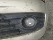 K?hlergrill - Vorne Linke Citroen C4, I 2004.11 - 2008.06 Gebraucht,