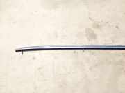 Dachreling Rechts Audi A6, C6 2005.01 - 2008.10 4F9860022J,