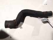 Kühlerschlauch Citroen Berlingo, II 2008.04 - 2018 Gebraucht,