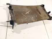 Wasserkühler Renault Scenic, III 2009.02 - 2013.06 214106387r,
