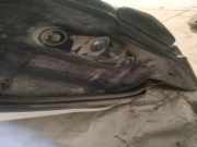 T?rscharnier Hinten Mercedes-Benz W211, 2002.03 - 2006.04 Gebraucht,