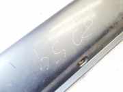 Verkleidung Schweller - Linke Mercedes-Benz ML, W163 1998.02 - 2005.06 Gebraucht,