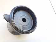 Kraftstofffilter Peugeot 307, 2000.08 - 2005.06 9642105180c,9638780280d