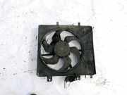 Kühlerlüfter Lüftermotor Citroen C3, I 2002.02 - 2005.06 Gebraucht,