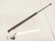 Gasdruckfeder Kofferraum Nissan Qashqai, I 2006.01 - 2010.06 90450JD01B,90450JD01B 3258YM0355N