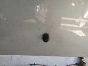 Waschwasserdüse Scheibenreinigung Hyundai Santa Fe, 2000.11 - 2006.03 Gebraucht,