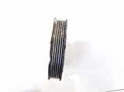 Riemenscheibe für Pumpe Audi A6, C6 2005.01 - 2008.10 06e906036c,