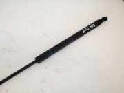 Gasfeder für Motorhaube Lexus IS, II 2005.10 - 2013.03 534400w101, 53440-0w101