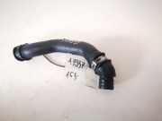 Kühlerschlauch Ford Focus, 1998.10 - 2002.10 98ff6a886ad,