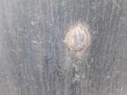 Waschwasserdüse Scheibenreinigung Renault Megane, I 1995.11 - 1999.02 Gebraucht ,