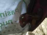 Türscharnier Vorne Suzuki Liana, 2004.04 - 2007.12 Gebraucht,