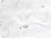 Radhausschale - Vorne Linke Fiat scudo 1997 - 2007 1462415080,