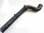 Kühlerschlauch Audi TT, 2006.08 - 2014.06 1k0121063j,