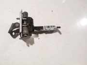 Türfangband Türbremse Türstopper - Hinten Linke Citroen C4 Grand Picasso, I 2006.01 - 2013.06 Gebraucht,