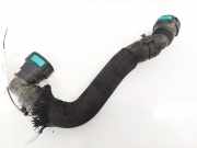 K?hlerschlauch Jaguar XF, X250 2012.01 - 2015.01 facelift Gebraucht,