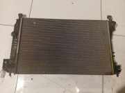 Wasserkühler Opel Signum, 2003.05 - 2008.06 Gebraucht ,