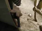 Türscharnier Vorne Subaru Legacy, BM, BR 2009.09 - 2014.06 Gebraucht,