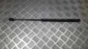 Gasdruckfeder Kofferraum Kia Rio, 2005.03 - 2011.09 817801g000,81780-1g000