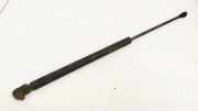 Gasfeder für Motorhaube Volkswagen Golf, IV 1997.08 - 2003.10 1J0823359,1J0 823 359 1J0823359 1J0823359A AKL