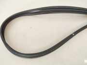 Türdichtung - Vorne Linke Jaguar I-Pace 2018 --> J9D320510A, J9D3-20510-A