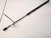 Gasdruckfeder Kofferraum Volkswagen Golf, VI 2008.10 - 2012.06 Gebraucht, CAY
