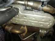 Abgaskühler AGR-Kühler Volkswagen Golf, V 2003.10 - 2008.10 038131513ad,315235604 3210275 00305 Bkc