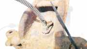 Sensor für ABS - Vorne Rechts Peugeot 207, 2006.02 - 2009.06 Gebraucht,